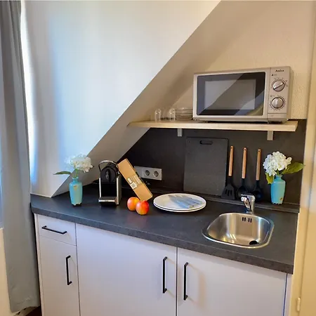Apartmenthaus Blauer Wolf By For Living Διαμέρισμα Gunzenhausen